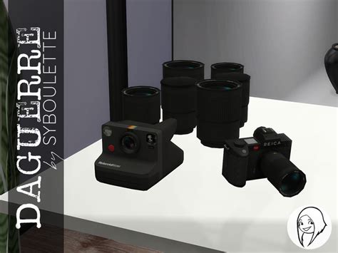The Sims Resource Daguerre Rolaroid Camera