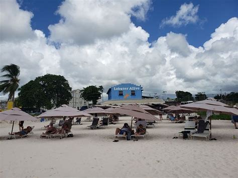 browne s beach bridgetown 2020 qué saber antes de ir lo más comentado por la gente