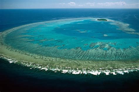 A Bite Sized History Of The Great Barrier Reef Schmidt Ocean Institute