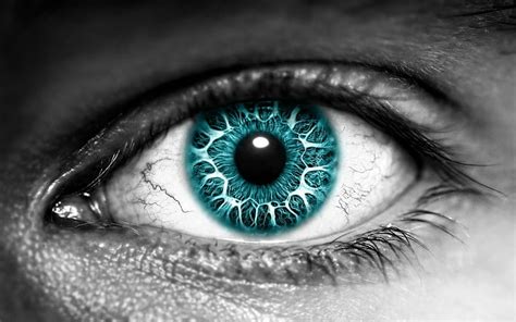 Hd Wallpaper Eye Lens Pupil Eyelashes Eyesight Human Eye Human