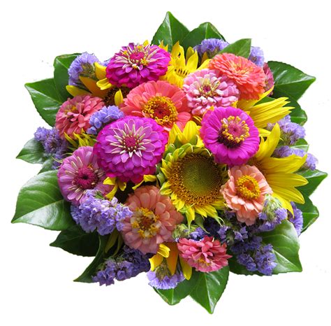 Größe von png durch vorgabe von breite und höhe in pixeln ändern. Blumen Bunt PNG Transparent Blumen Bunt.PNG Images. | PlusPNG