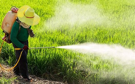 Pesticidas São Substâncias Utilizadas Para Promover O Controle De Pragas