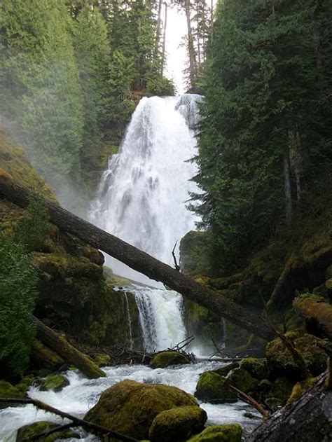 Ford Pinchot Waterfalls Rush Creek Falls Waterfall Outdoor Travel