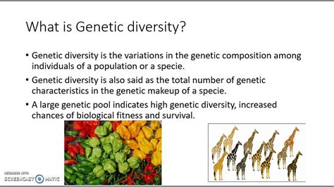 Genetic Diversity And Its Causes Lesson 7 Genetic Resources And Conservation Youtube