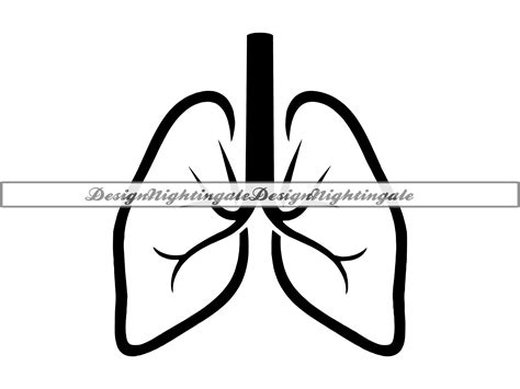 Lungs Outline Svg Lunge Svg Lunge Svg Lungs Clipart Lungs Etsy Schweiz