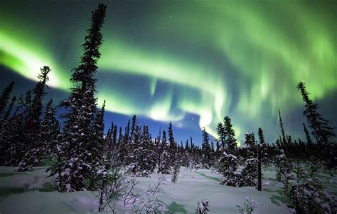 Wallpaper Winter Forest Snow Trees Northern Lights Ate Alaska