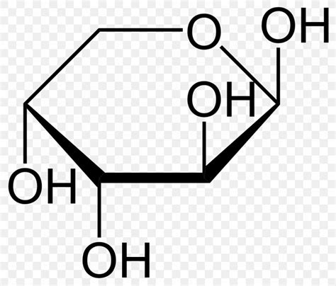 Haworth Projection Glucose Ribose Arabinose Mannose Png 1200x1024px