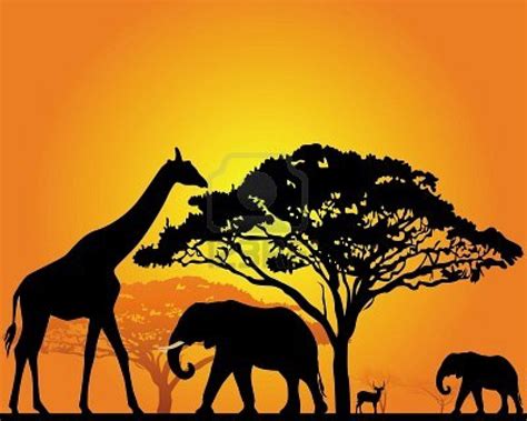 Black Silhouettes Of African Animals In The Savannah On An Orange