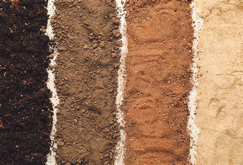 Lesson Explainer Types Of Soil Nagwa