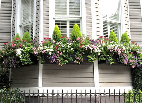 15 Fresh Ideas For Summer Windowboxes Grow Beautifully