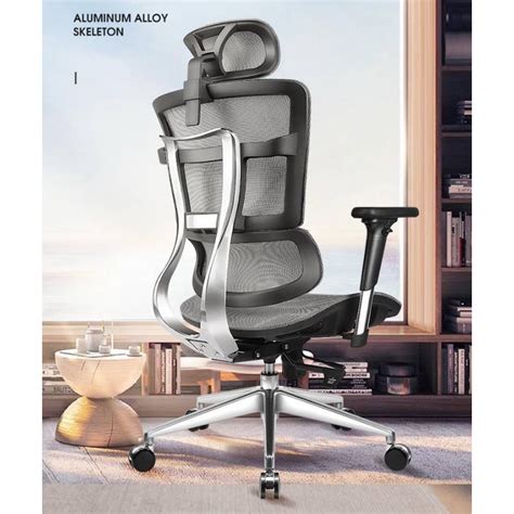 Ouro Ergonomic C1電腦椅人體工學椅網布椅辦公椅電竟椅鋁合金椅背全網透氣 蝦皮購物