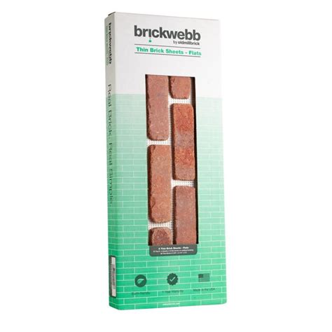 Old Mill Thin Brick Systems Brickweb 105 In X 28 In Dixie Clay Brick