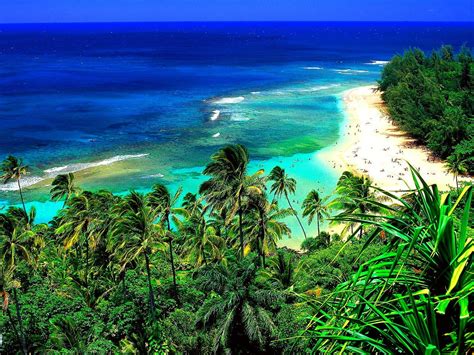 Tapeta Na Komputer Hawaje Przyroda Kraje Tropikalne 1440x900