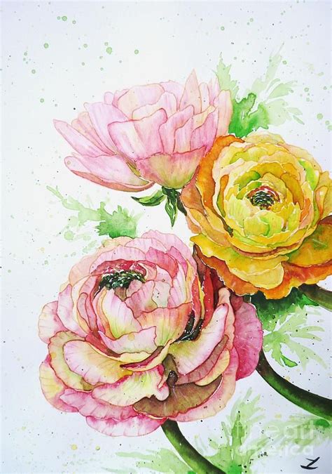 Ranunculus Painting Ranunculus Flowers By Zaira Dzhaubaeva