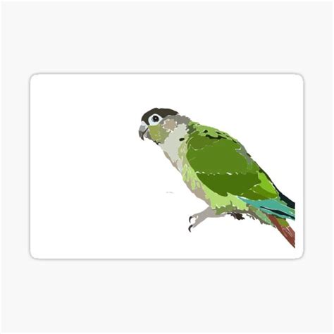 Green Cheek Conure Parrot Sticker By Lilyberens Redbubble