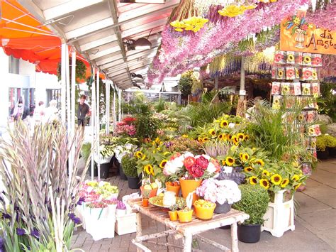 At different times in history, both sugar and salt were called white gold because they were so expensive and difficult to get. Why I love Amsterdam so much, incredible flower markets ...
