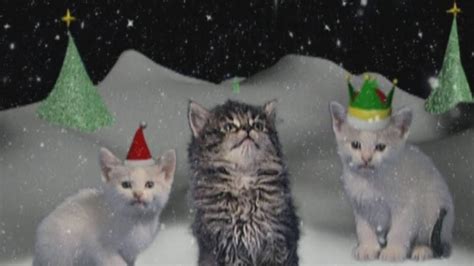 They raise their voices when in distress but. Jingle Cats perform meow version of Silent Night in HD ...