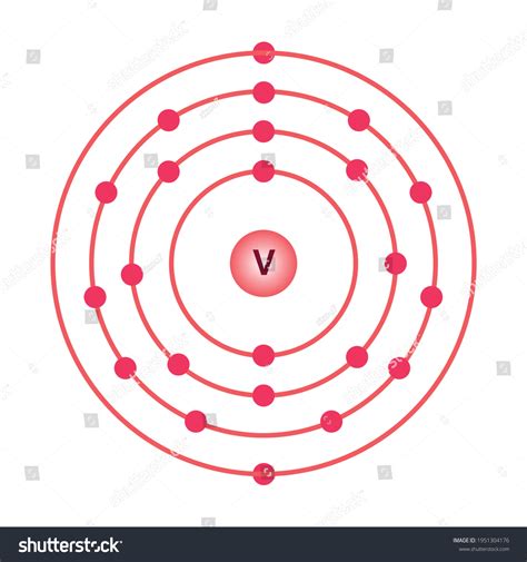 Bohr Model Vanadium Atom Electron Structure Stock Vector Royalty Free