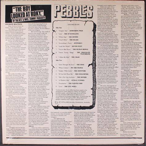 Various ‎ Pebbles Vol 7 Original Artyfacts From The First Punk Era