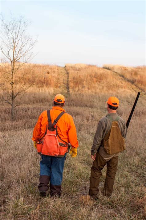 Illinois Pheasant Hunting Heartland Lodge