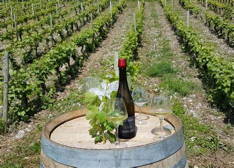 Wine Tours In France Where To Go Wine Tasting In The French