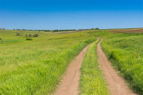 Wild Ukrainian Steppe Stock Image Image Of Prairie Weed 54766363