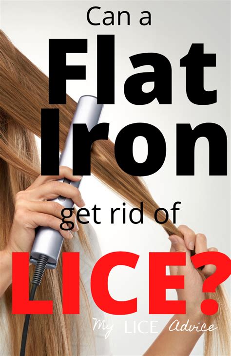 Flat Ironing to Kill Lice and Nits in 2020 | Kill lice ...