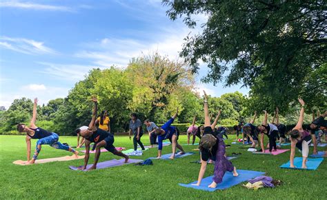 Yoga And Market In The Park