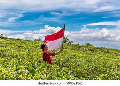 Apa sih makna dari lambang pancasila?? Background Loreng Pemuda Pancasila Wallpaper / Penawaran ...