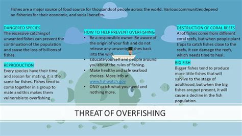 Who Is Most In Danger From The Effects Of Overfishing