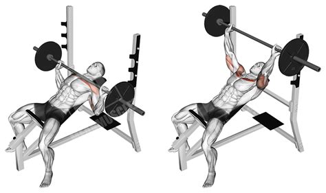 Contrast Chest Workout Meanmuscles