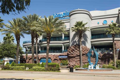 A Complete Guide To Houstons Downtown Aquarium