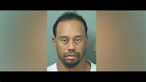 Police Tiger Woods Arrested In Florida For DUI