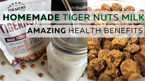 AMAZING Health Benefits Of Tiger Nuts How To Make Tiger Nut Milk