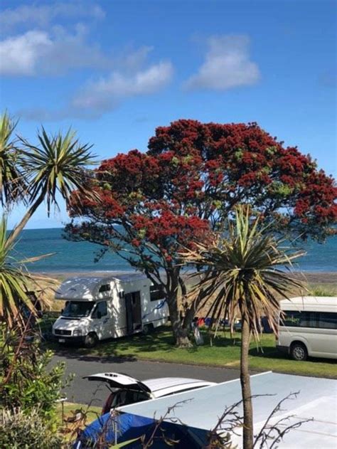 Oakura Beach Holiday Park The New Zealand Camping Guide