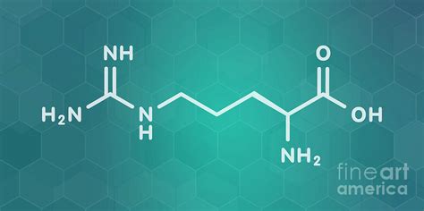 Arginine Amino Acid Molecule Photograph By Molekuulscience Photo Library