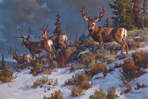 Chad Poppleton Wildlife Prints Wildlife Paintings Deer Painting