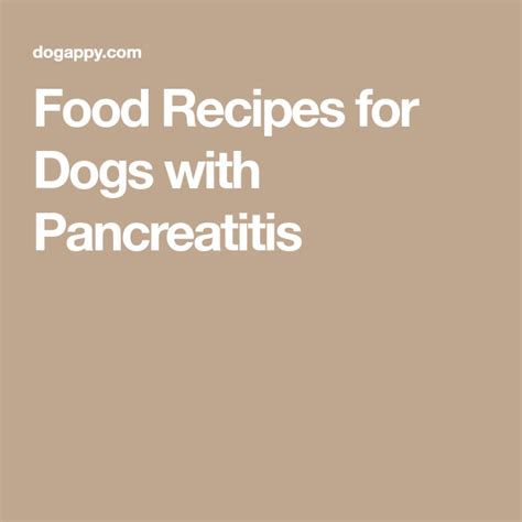 The body constantly processes food and insulin between meals and injections. Food Recipes for Dogs with Pancreatitis | Dog pancreatitis ...
