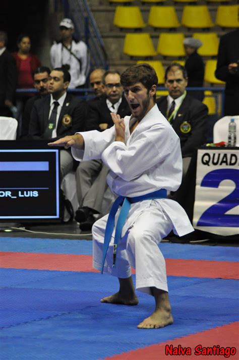 professor padilla pesquisador transdisciplinar ufrgs premier league karate brasil