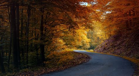 Roads Autumn Trees Hd Wallpaper