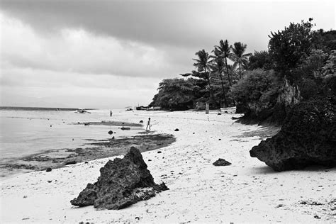 Moalboal Cebu White Sand Beach In Black And White