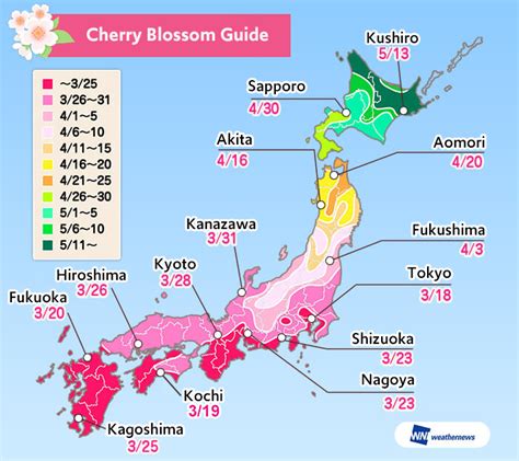 Cherry Blossom Map