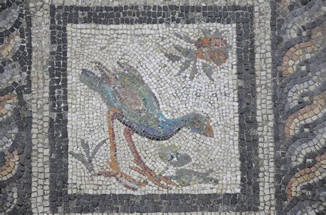 Roman Remains Floor Mosaik Alexandria Pictures Egypt In