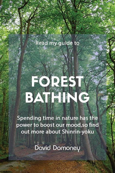 A Guide To Forest Bathing Or Shinrin Yoku Artofit
