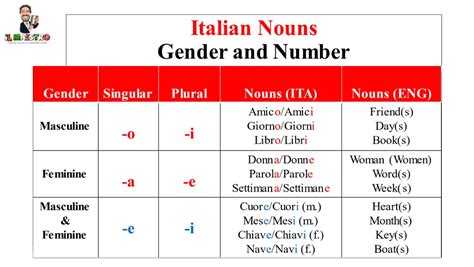 Italian Nouns Gender And Number Part 1 Of 2 Il Maestro