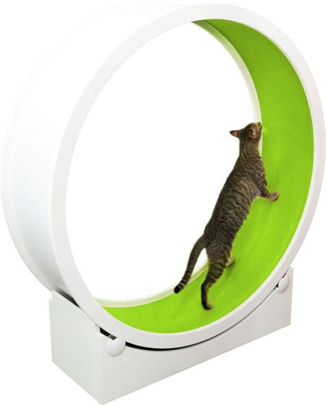 Litter box issues, although preventable, are one of the top reasons cats are brought to shelters. Catswall Cat Exercise Wheel UK | Indoor Cat Running Wheel ...