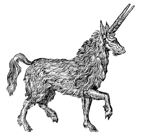 Pirassoipi The Two Horned Variation Of The Unicorn India I Think By