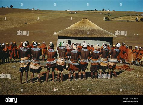 Xhosa Dance Hi Res Stock Photography And Images Alamy