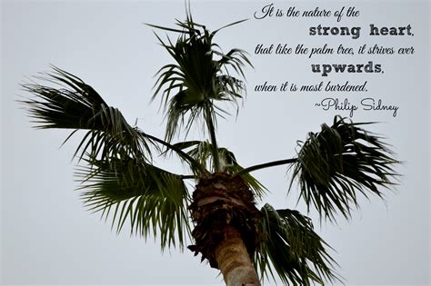 Inspirational Quotes About Trees. QuotesGram