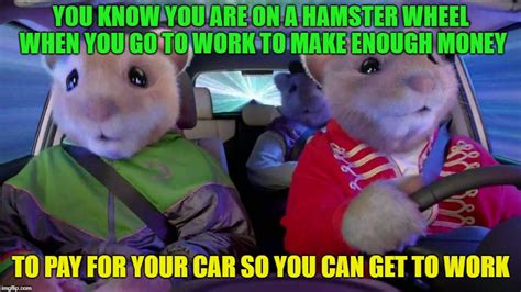 Hamster Weekend Imgflip